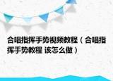 合唱指挥手势视频教程（合唱指挥手势教程 该怎么做）