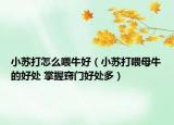小苏打怎么喂牛好（小苏打喂母牛的好处 掌握窍门好处多）