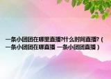 一条小团团在哪里直播?什么时间直播?（一条小团团在哪直播 一条小团团直播）