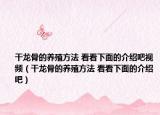 干龙骨的养殖方法 看看下面的介绍吧视频（干龙骨的养殖方法 看看下面的介绍吧）