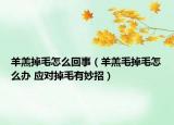羊羔掉毛怎么回事（羊羔毛掉毛怎么办 应对掉毛有妙招）