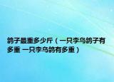 鸽子最重多少斤（一只李鸟鸽子有多重 一只李鸟鸽有多重）
