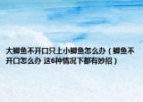 大鲫鱼不开口只上小鲫鱼怎么办（鲫鱼不开口怎么办 这6种情况下都有妙招）