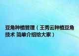 豆角种植管理（王秀云种植豆角技术 简单介绍给大家）
