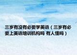 三岁有没有必要学英语（三岁有必要上英语培训机构吗 有人懂吗）