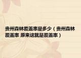 贵州森林覆盖率是多少（贵州森林覆盖率 原来这就是覆盖率）