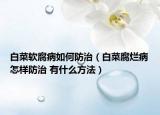 白菜软腐病如何防治（白菜腐烂病怎样防治 有什么方法）