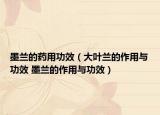 墨兰的药用功效（大叶兰的作用与功效 墨兰的作用与功效）
