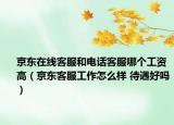 京东在线客服和电话客服哪个工资高（京东客服工作怎么样 待遇好吗）