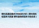 野钓选漂自重多少吃铅多少好（野钓用吃铅量多大的漂 野钓漂用吃铅多少的合适）