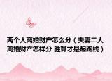两个人离婚财产怎么分（夫妻二人离婚财产怎样分 胜算才是起跑线）