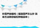 炒葫芦放醋吗（醋溜葫芦怎么炒 简单方法教你轻松种植美味）