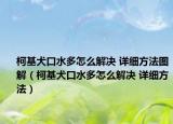 柯基犬口水多怎么解决 详细方法图解（柯基犬口水多怎么解决 详细方法）