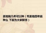姜地隔几年可以种（死姜地四年能种么 下面为大家解答）