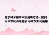 魔芋种子用草木灰消毒方法（如何用草木灰消毒魔芋 草木灰如何使用）