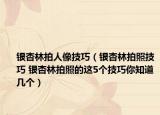银杏林拍人像技巧（银杏林拍照技巧 银杏林拍照的这5个技巧你知道几个）