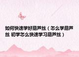 如何快速学好葫芦丝（怎么学葫芦丝 初学怎么快速学习葫芦丝）
