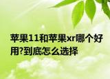 苹果11和苹果xr哪个好用?到底怎么选择
