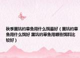 秋季黑坑钓草鱼用什么饵最好（黑坑钓草鱼用什么饵好 黑坑钓草鱼用哪些饵料比较好）