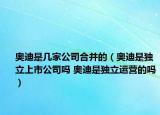 奥迪是几家公司合并的（奥迪是独立上市公司吗 奥迪是独立运营的吗）