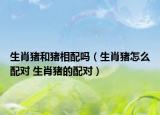 生肖猪和猪相配吗（生肖猪怎么配对 生肖猪的配对）