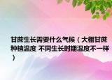 甘蔗生长需要什么气候（大棚甘蔗种植温度 不同生长时期温度不一样）