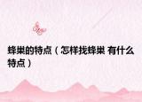 蜂巢的特点（怎样找蜂巢 有什么特点）