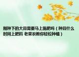 刚种下的大蒜需要马上施肥吗（种蒜什么时间上肥料 老菜农教你轻松种植）