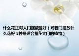 什么花正对大门摆放最好（对着门摆放什么花好 5种最适合摆在大门的植物）