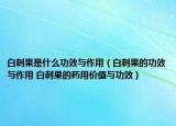 白刺果是什么功效与作用（白刺果的功效与作用 白刺果的药用价值与功效）