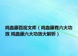 鸡血藤百度文库（鸡血藤有六大功效 鸡血藤六大功效大解析）