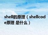 shell的原理（shellcode原理 是什么）