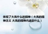 体现了大禹什么的精神（大禹的精神含义 大禹的精神内涵是什么）