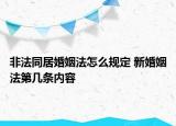 非法同居婚姻法怎么规定 新婚姻法第几条内容