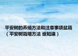 平安树的养殖方法和注意事项盆栽（平安树栽培方法 谁知道）