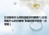 红虫粉和什么饵料搭配好钓鲫鱼?（红虫粉配什么料钓鲫鱼 希望回答对你有一点帮助）