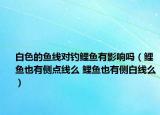 白色的鱼线对钓鲤鱼有影响吗（鲤鱼也有侧点线么 鲤鱼也有侧白线么）