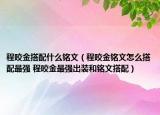 程咬金搭配什么铭文（程咬金铭文怎么搭配最强 程咬金最强出装和铭文搭配）
