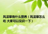 风滚草有什么营养（风滚草怎么吃 大家可以见识一下）