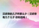 汉武帝的儿子咋那么少（汉武帝有几个儿子 你知道吗）