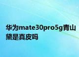 华为mate30pro5g青山黛是真皮吗
