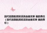 因代拍致航班延误该由谁买单 谁的责任（因代拍致航班延误该由谁买单 谁的责任）