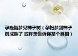 孕晚期梦见柿子树（孕妇梦到柿子树成熟了 或许想告诉你某个真相）
