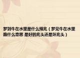 梦到牛在水里是什么预兆（梦见牛在水里跑什么意思 是好的兆头还是坏兆头）