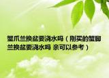 蟹爪兰换盆要浇水吗（刚买的蟹脚兰换盆要浇水吗 亲可以参考）