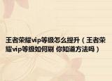 王者荣耀vip等级怎么提升（王者荣耀vip等级如何刷 你知道方法吗）