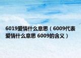 6019爱情什么意思（6009代表爱情什么意思 6009的含义）
