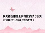 秋天钓鱼用什么饵料比较好（秋天钓鱼用什么饵料 比较适合）