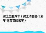 泥土里的汽车（泥土清香是什么车 很奇怪的名字）