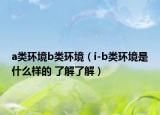a类环境b类环境（i-b类环境是什么样的 了解了解）